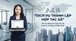 Dịch vụ thành lập hợp tác xã